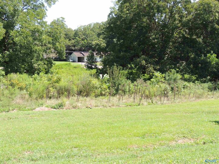 Property Photo:  1.99 Justice Street  AL 35962 