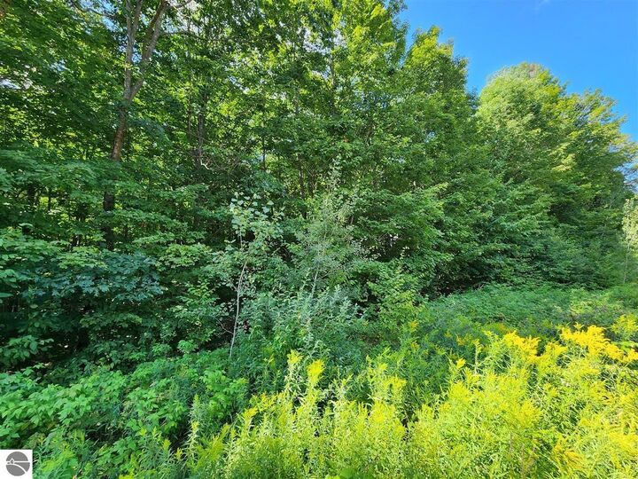 Property Photo:  Vl Cedar Valley Ridge Drive  MI 49684 