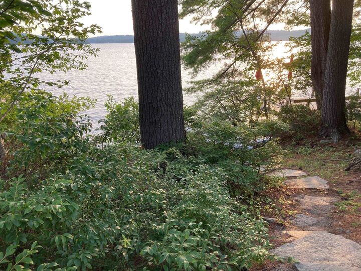 Property Photo: 4 Lake Ave Street NH 03255