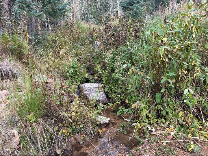 Property Photo:  9ac Clinton Road  CO 81152 