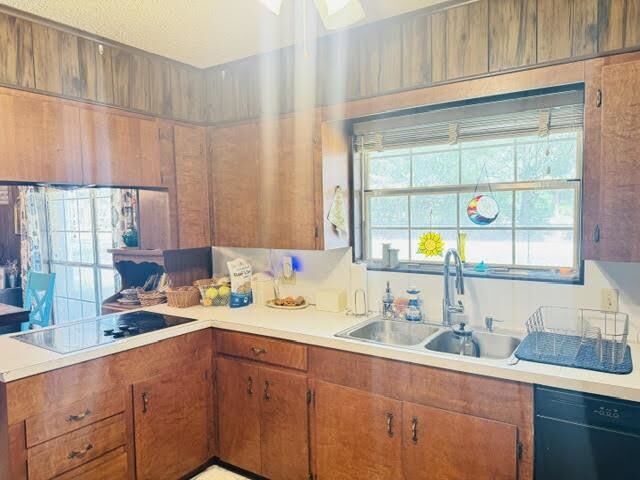 Property Photo: 4802 Holly Dr TX 77630