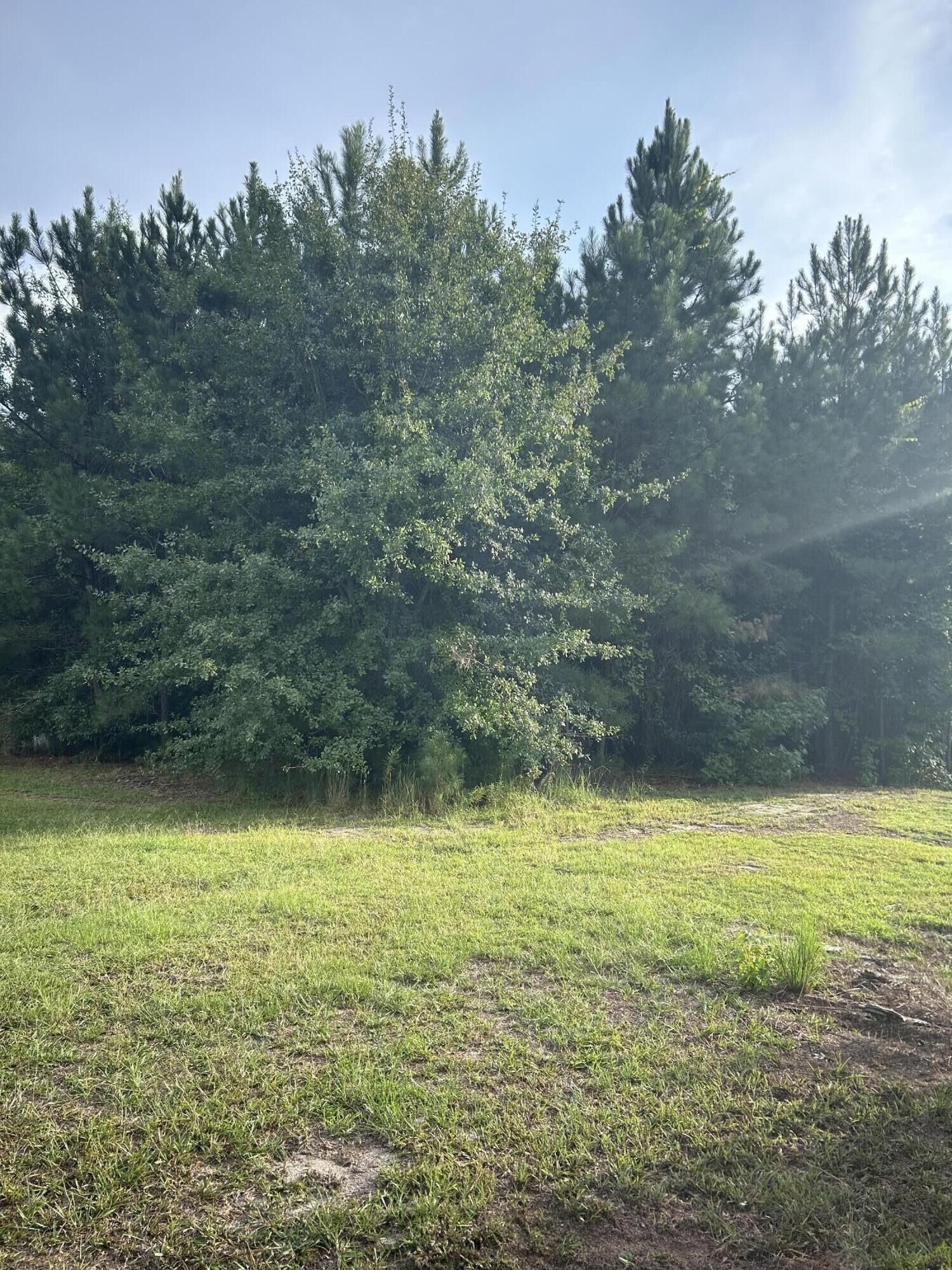 Property Photo:  1740 Elder Lane  SC 29153 