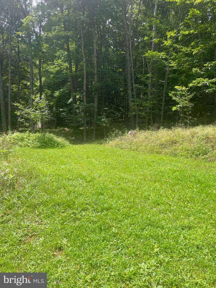 Property Photo:  559 Guthrie Lane  MD 21536 