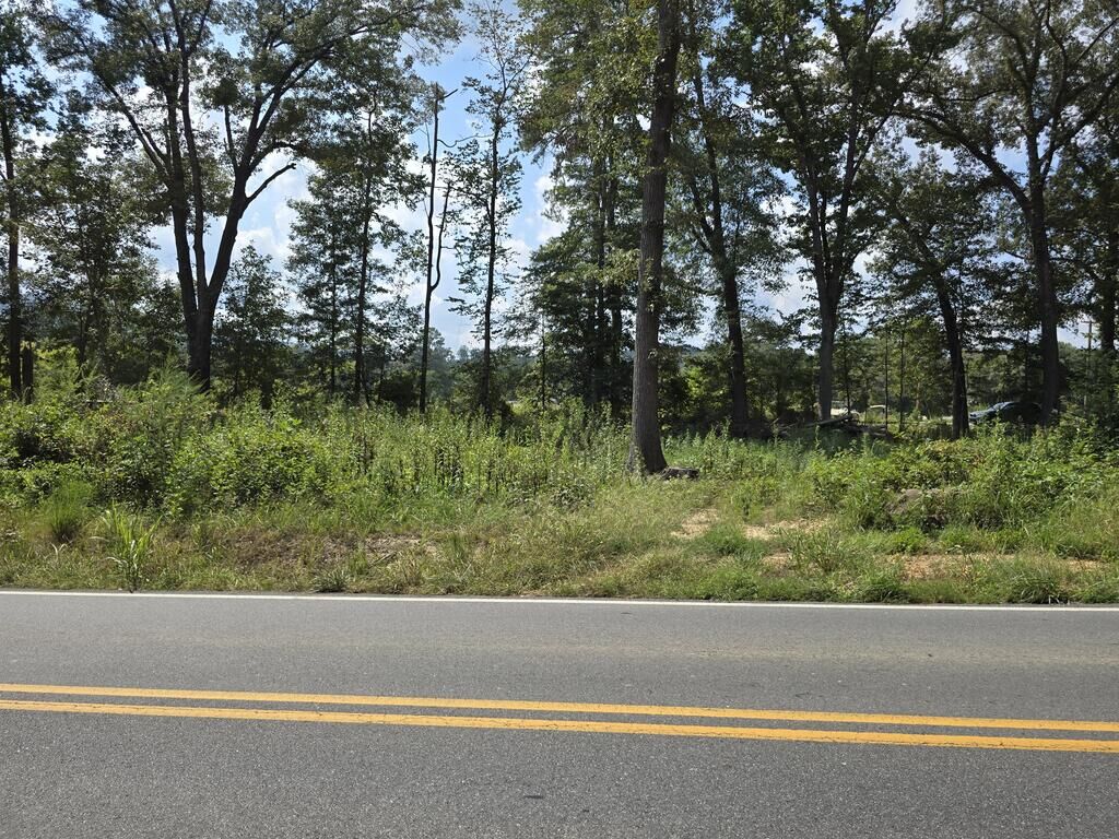 Property Photo: 0 Carbondale Road GA 30721