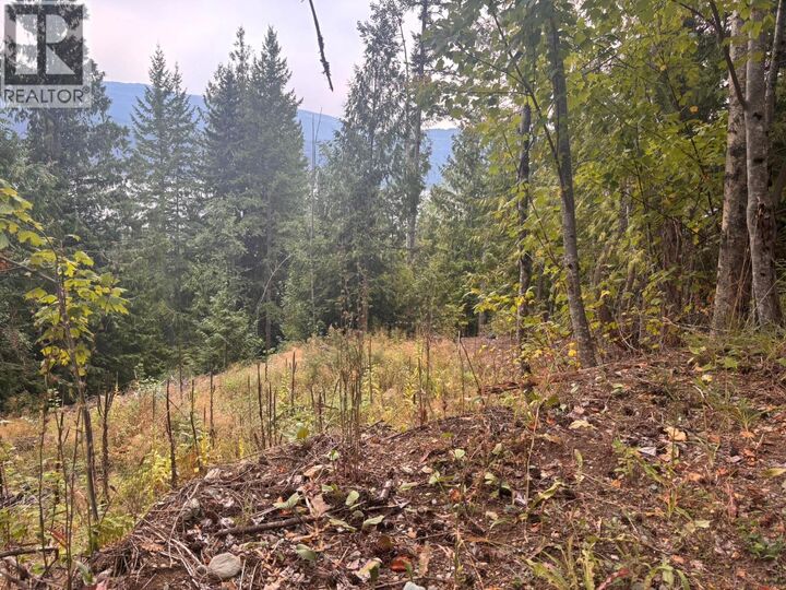 Property Photo:  Lot 151 Columbia Drive  BC V0E 1M8 