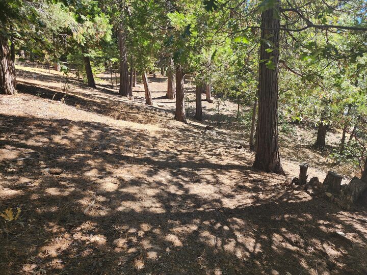 Property Photo: 0 Grass Valley CA 92352