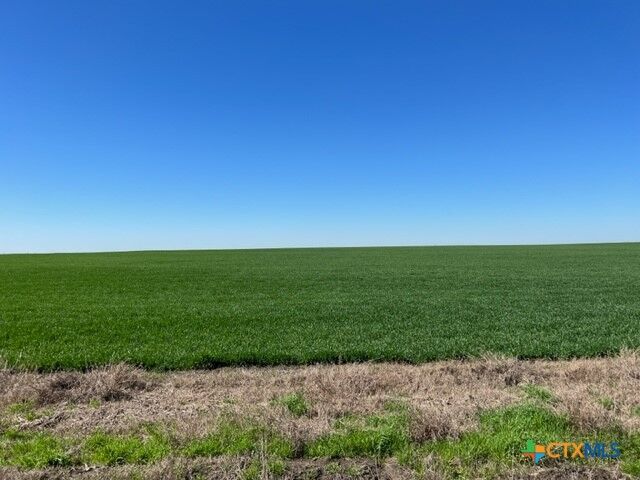 Property Photo: Tract 3 County Rd 355 TX 76519