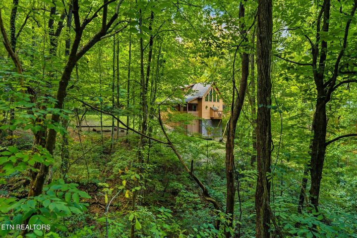 Property Photo:  3163 Sourwood Way  TN 37862 