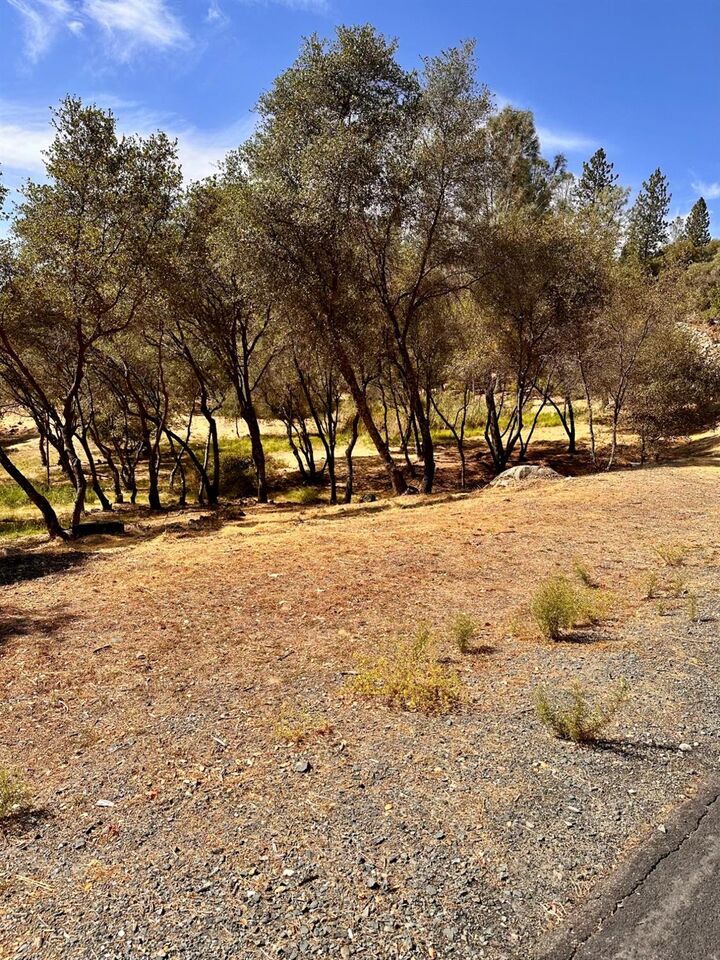 Property Photo:  2050 Long View Drive  CA 95722 