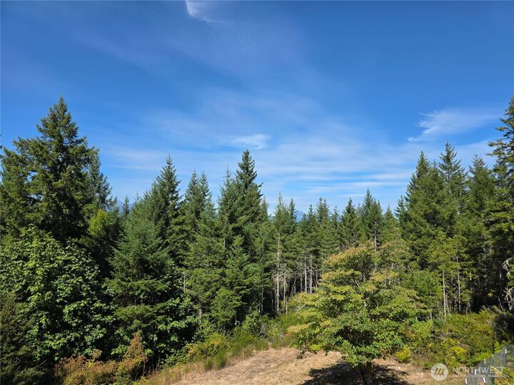 Property Photo: 62 NE Southridge Drive WA 98528