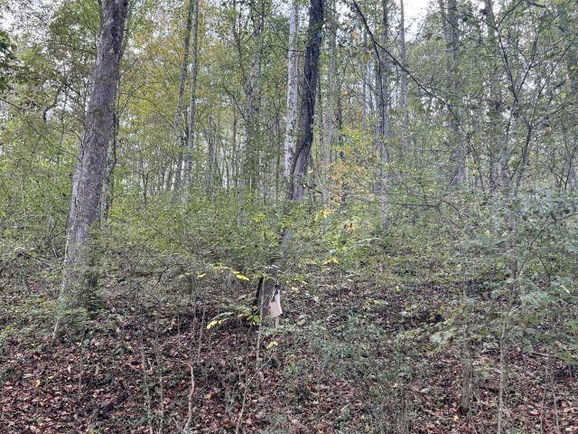 Property Photo: 31557 French Road OH 45647