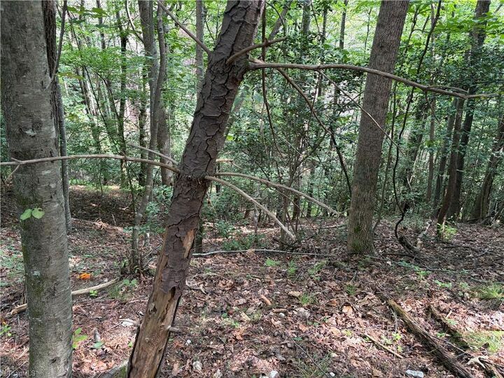 Property Photo: Tbd Old Nc Highway 16 NC 28651