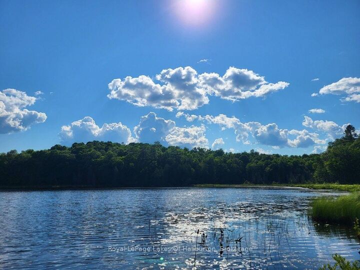 Property Photo:  9842 Highway 35 N/A  ON K0M 2L1 