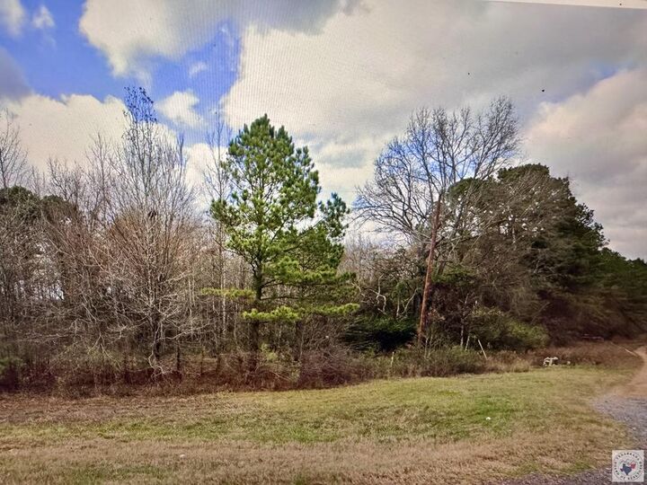 Property Photo:  Tbd1 Hwy67 Hwy 67  TX 75567 
