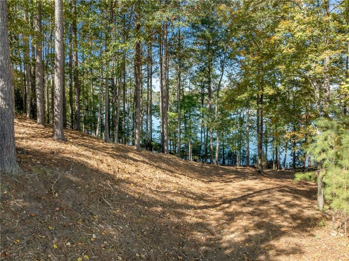 Property Photo:  145 And 149 Bright Water Trail  SC 29682 