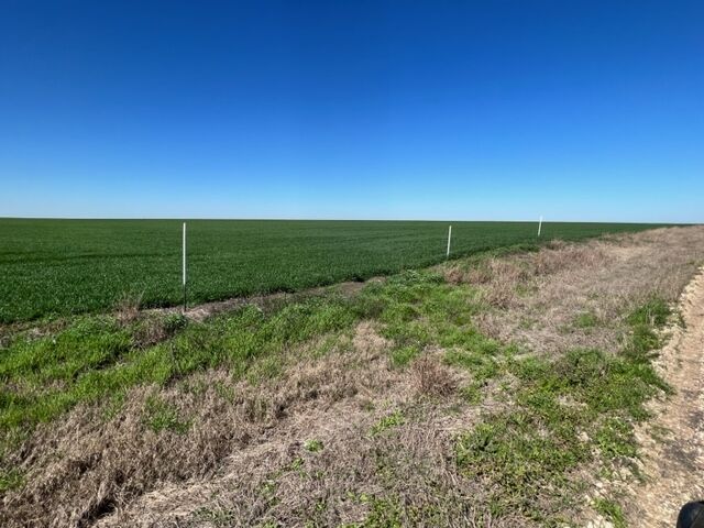 Property Photo: Tract 3 Cr 355 TX 76519