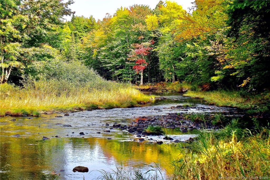 Property Photo:  Lot Rte 520 Coates Mills  NB E4S 1R7 