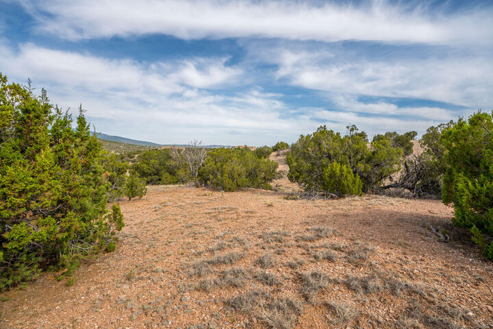 Property Photo:  25 Stage Coach Trail  NM 87047 