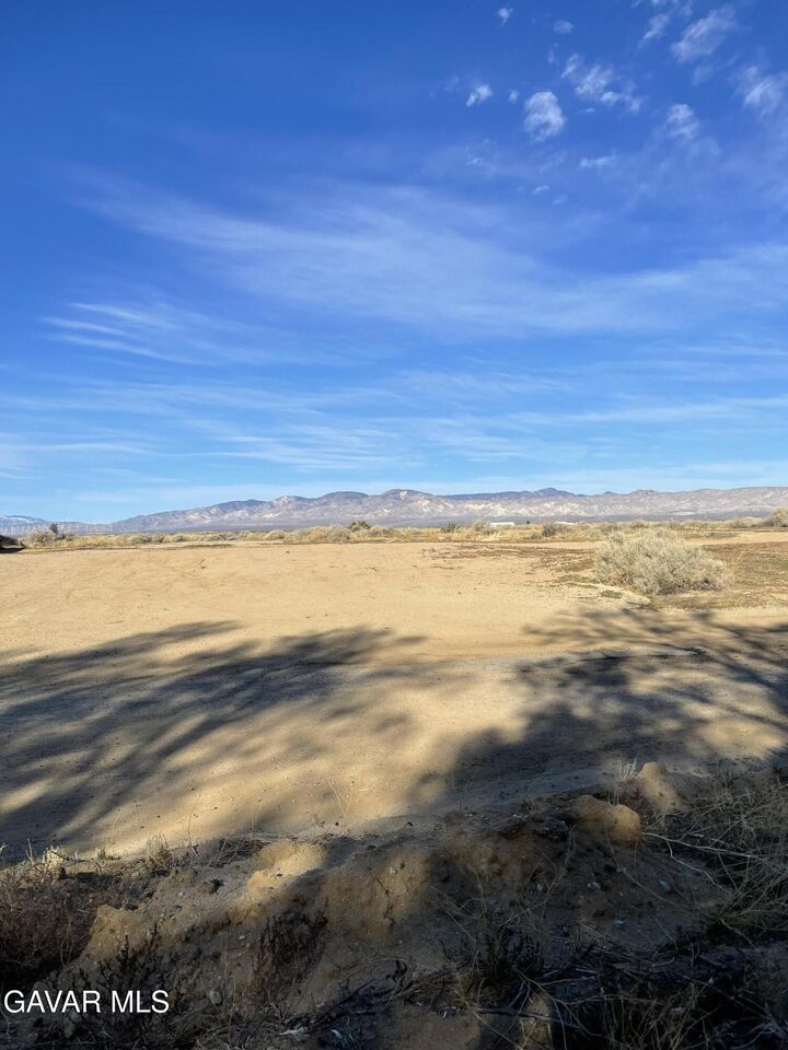 Property Photo:  Yerba Blvd  CA 93505 