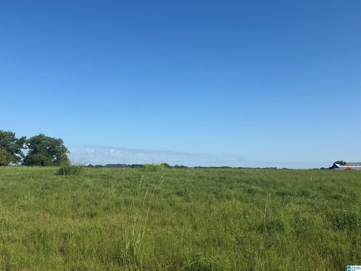 Property Photo:  Lot 32 County Road 1464 32  AL 35058 