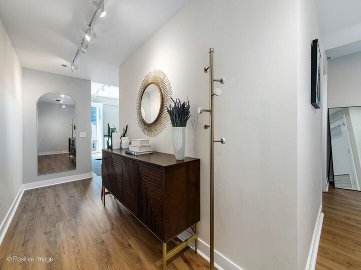 Property Photo: 505 N McClurg Court 905 IL 60611