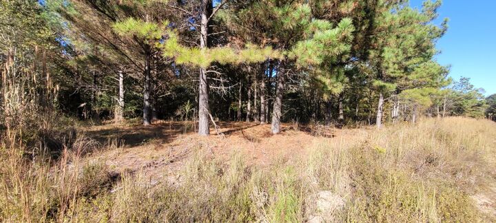 Property Photo: 0 Saddleback Dr TN 37058