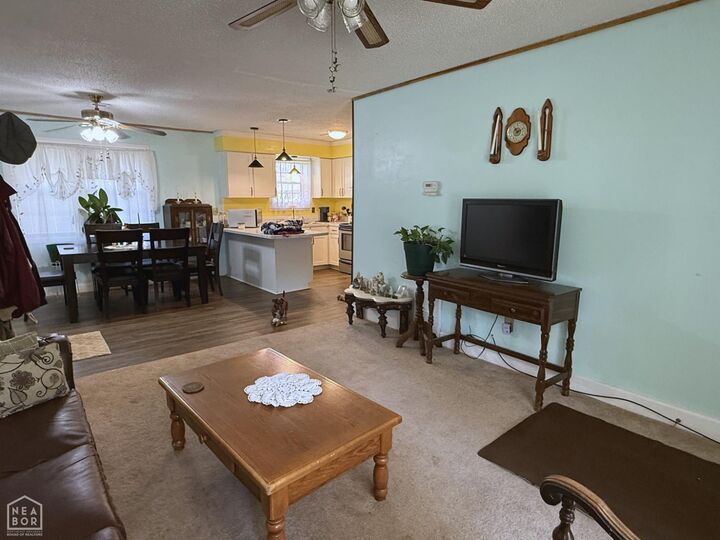 Property Photo:  205 Cherry Street  AR 72437 