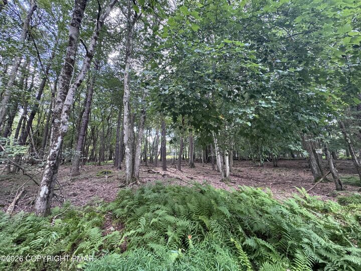 Property Photo:  