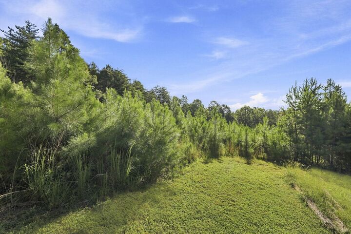 Property Photo: 0 Helms Road *** SC 29702