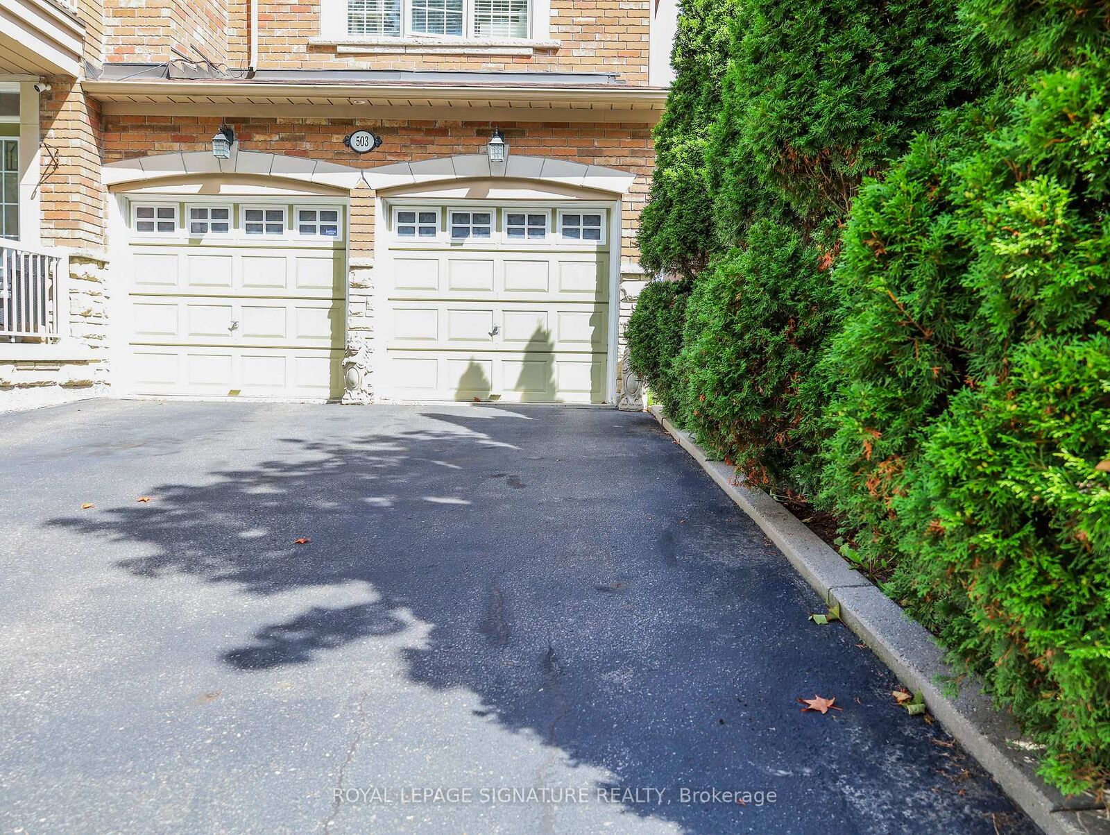 Property Photo:  503 Thornhill Woods Drive Basement  ON L4J 9A1 