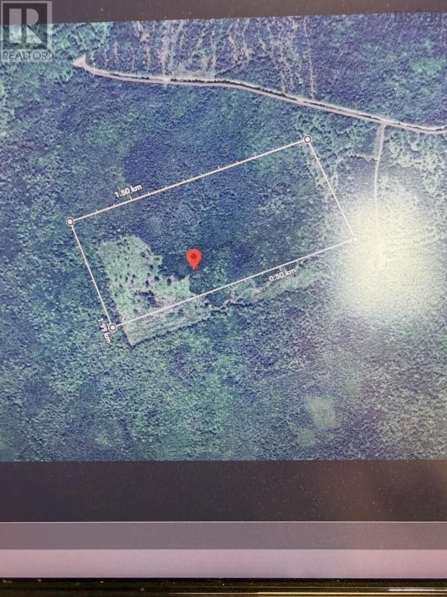 Property Photo:  50 Acres On Back Settlement Road, West Lakevale  NS B2G 2L2 