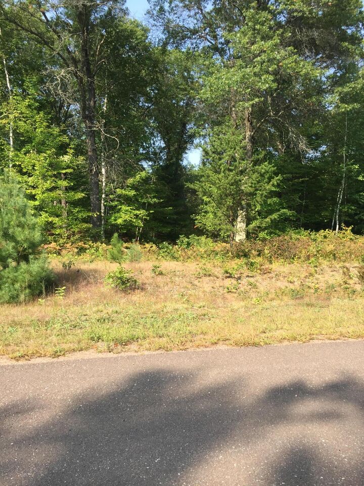 Property Photo:  Lot 32 Shady Lane  WI 54872 