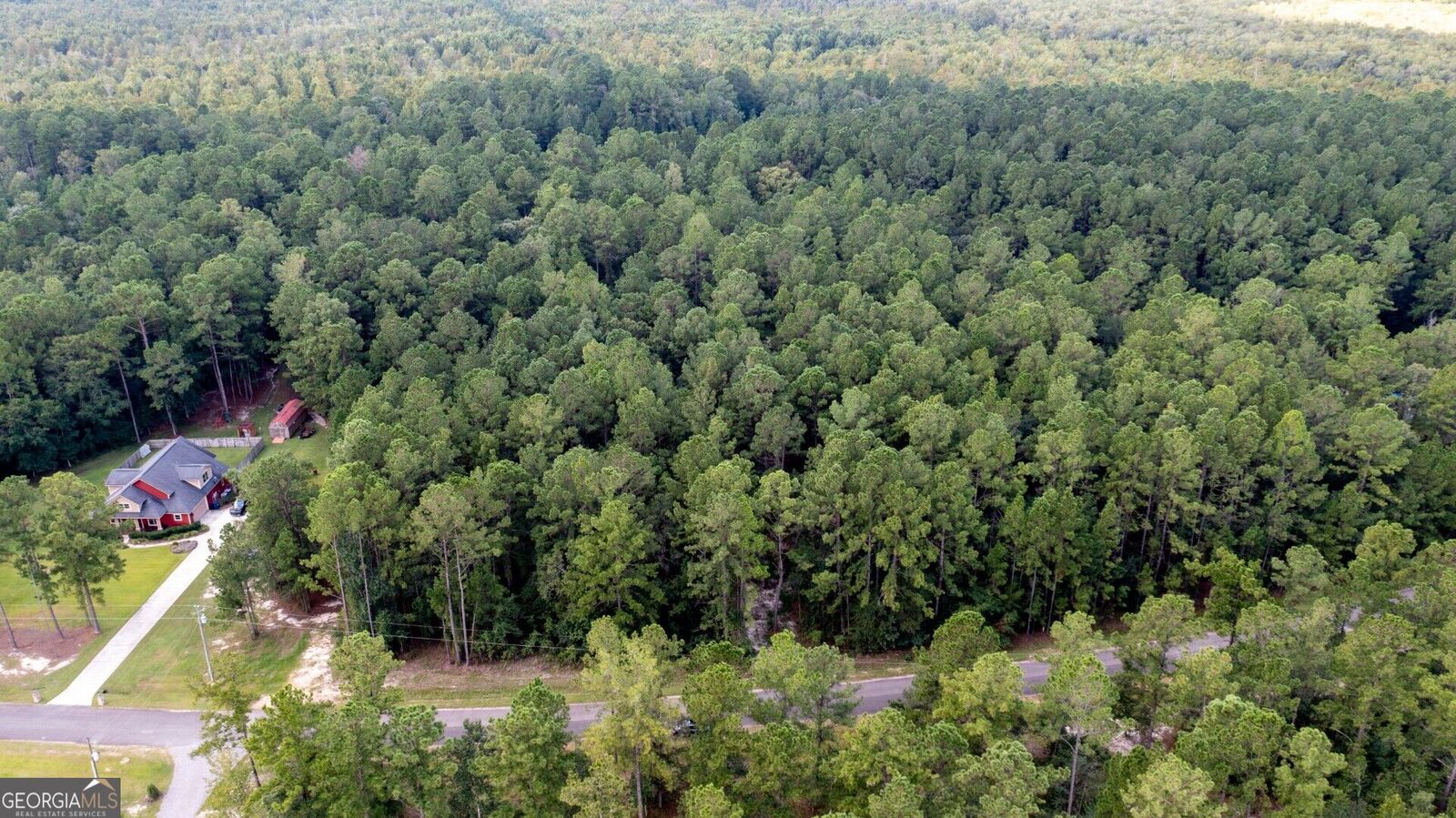 Property Photo:  V/L 16 Forest Trace  GA 31565 
