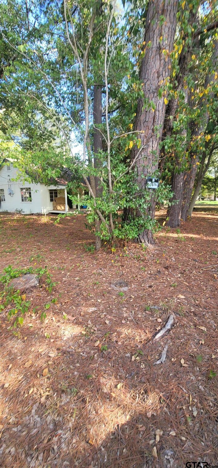 Property Photo:  Highway 80  TX 75773 