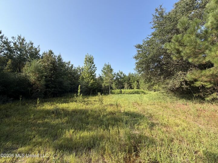 Property Photo:  156.3 Acres Beesley Road  MS 39452 