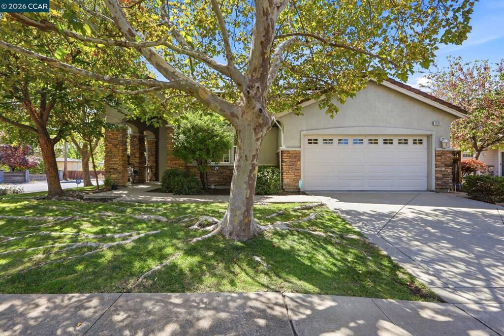 Property Photo:  1101 Sunny Cove St  CA 94597 