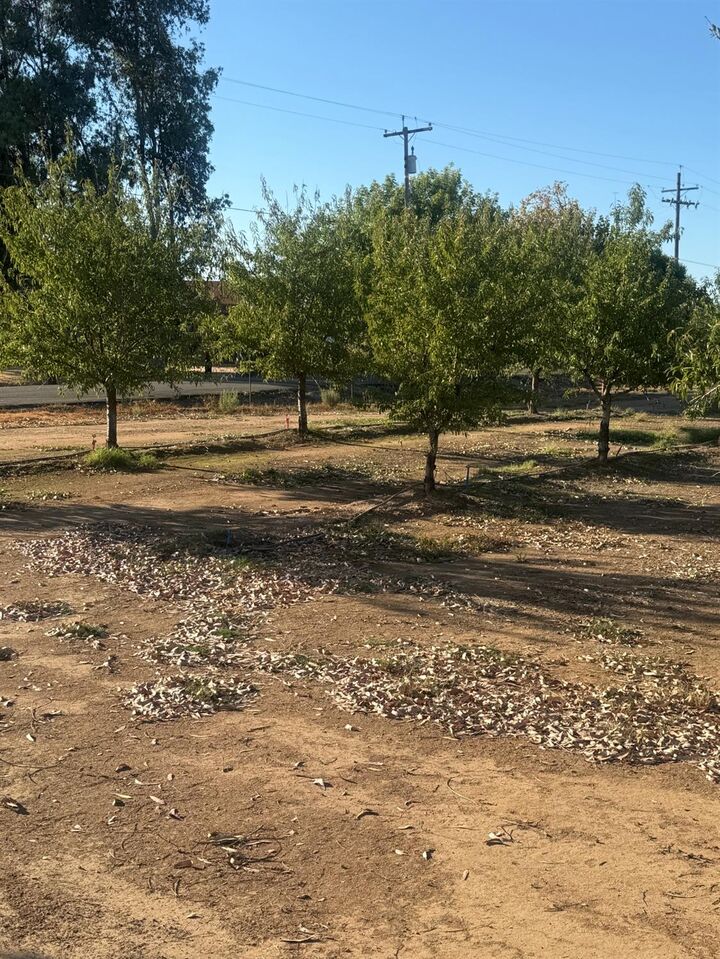 Property Photo: 7967 Nicolaus Road CA 95648