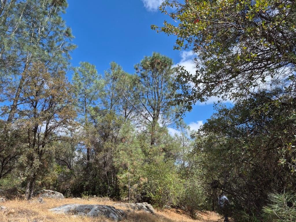 Property Photo: 19606 Valley Vista Way CA 95946