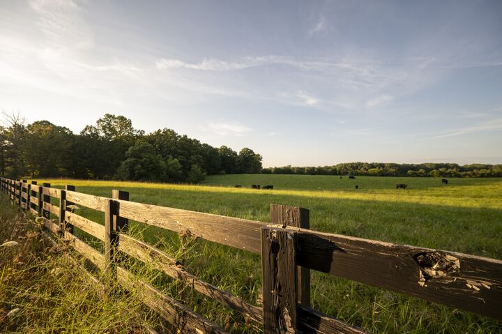 Property Photo: 4000 Jumpoff Rd TN 37375