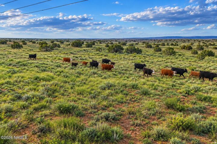 Property Photo: 101 Duck Lake Road AZ 85298