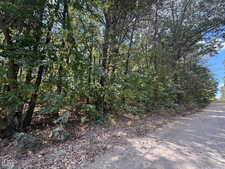 Property Photo: 3 County Road 320 AR 72416