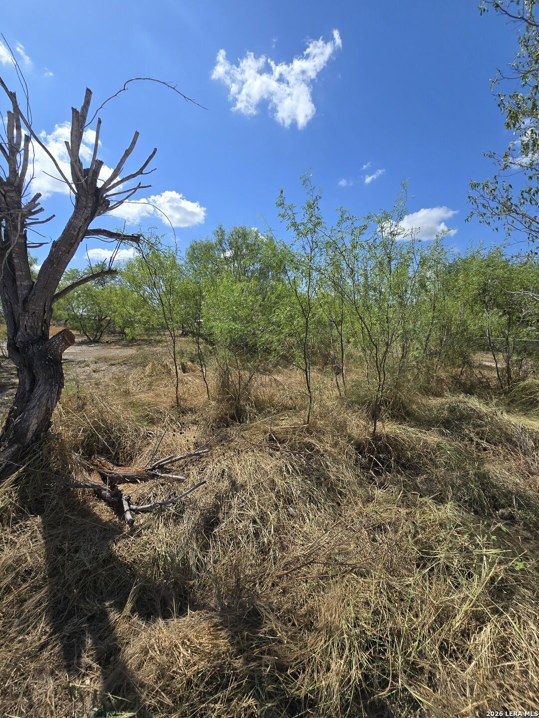 Property Photo:  -- Avenue L  TX 78065 
