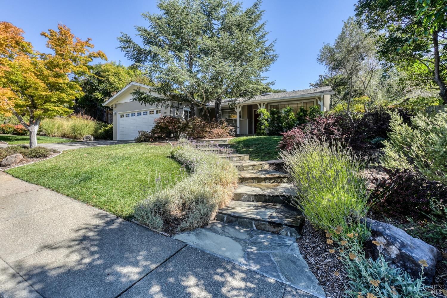 Property Photo:  153 Trellis Drive  CA 94903 