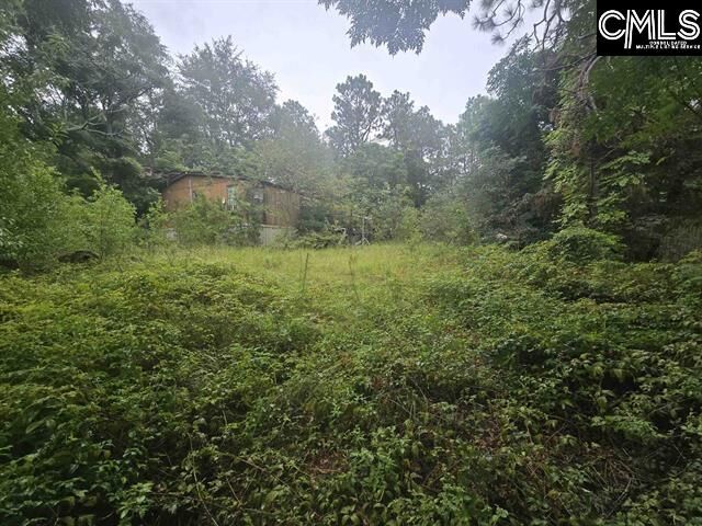 Property Photo:  807A Laurel  SC 29073 