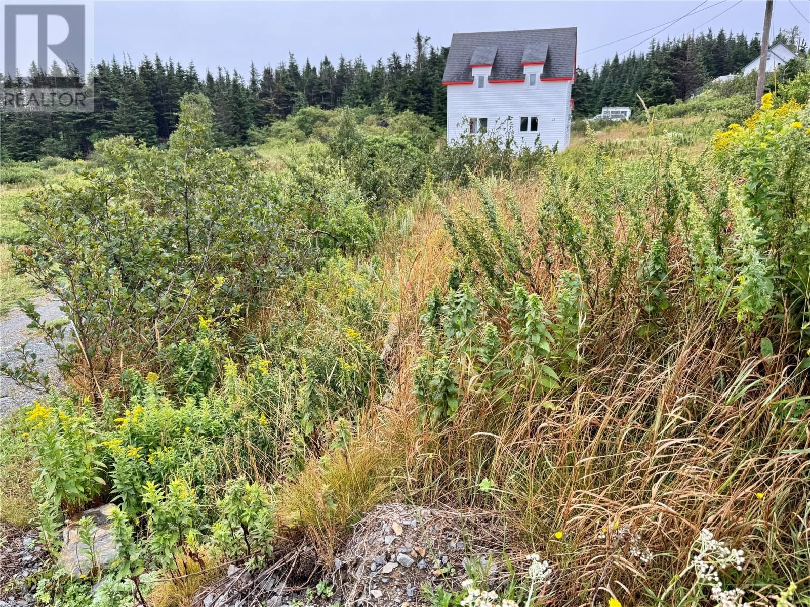 Property Photo:  21-27A Catalina Road  NL A0C 1N0 