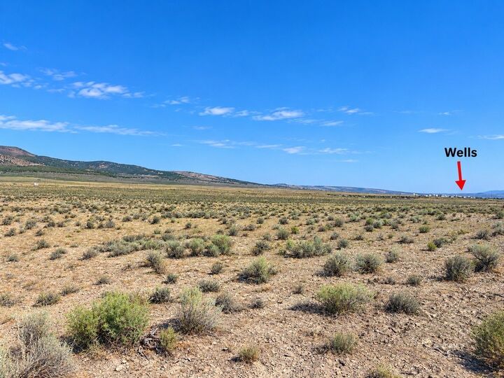 Property Photo:  Tbd US 93 Highway  NV 89835 