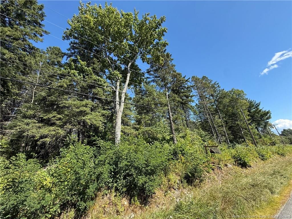 Property Photo: Lot 26-01 Route 105 NB E6G 1X1