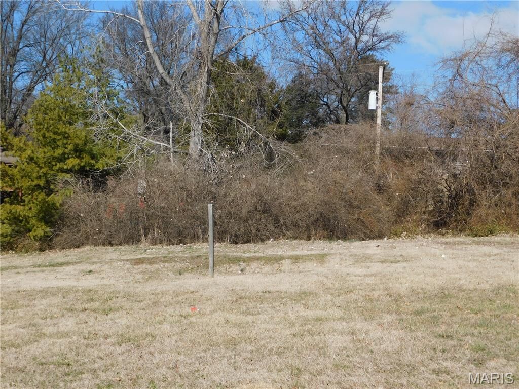 Property Photo:  3153 Somerset Green Court  MO 63136 