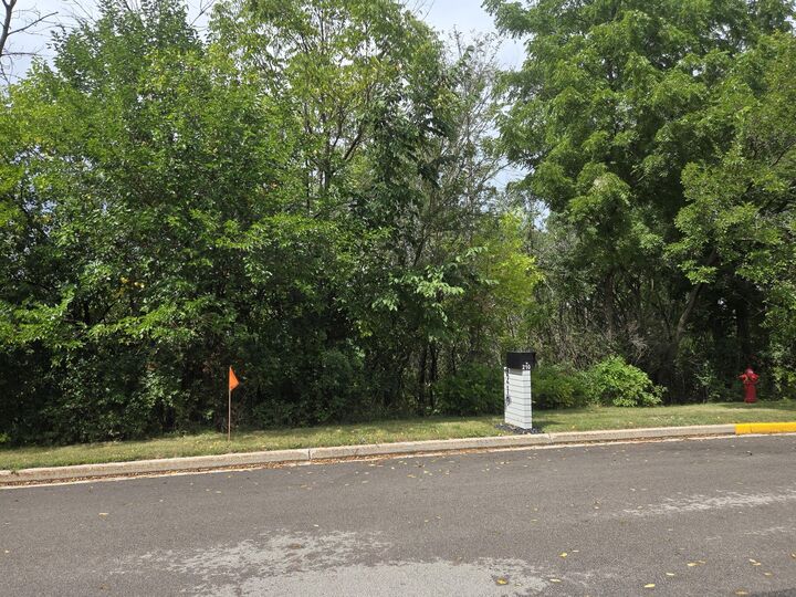 Property Photo:  Lot 49 N High St  WI 53050 