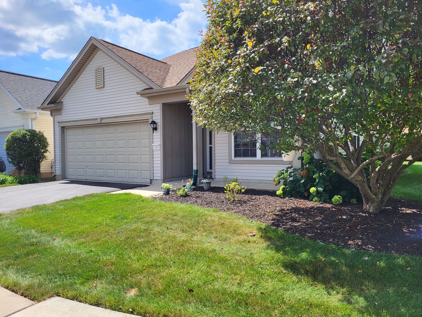 Property Photo:  11631 Wembley Drive  IL 60142 